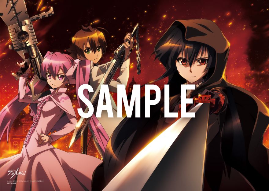 s*s様 アカメが斬る! 告知 ポスター通常盤 s*s様 アカメが斬る! 告知 ポスター通常盤